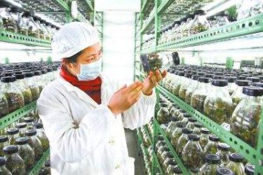 生物研发项目
