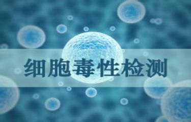 细胞毒性检测