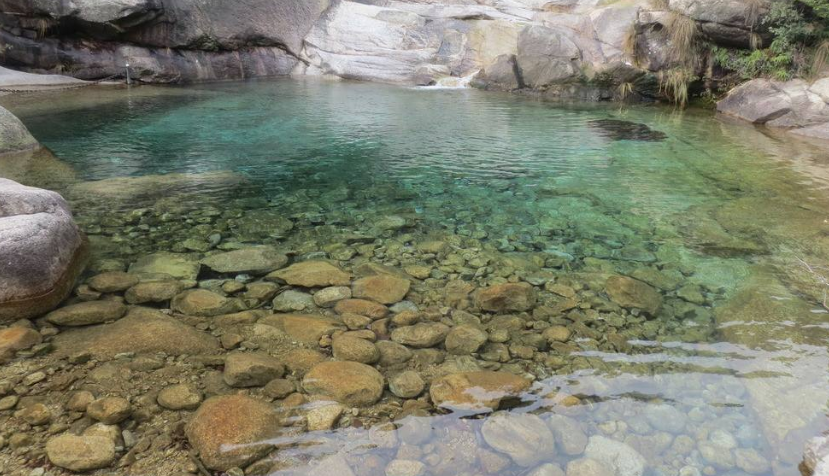 生物检测